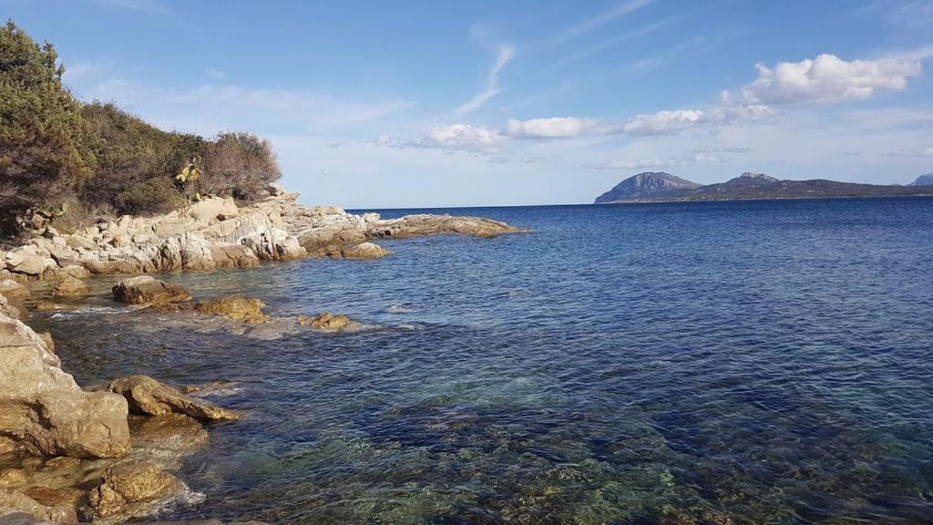 Appartamento A Porto Rotondo - Villaggio Punta Volpe - Iun S5393 Exteriör bild