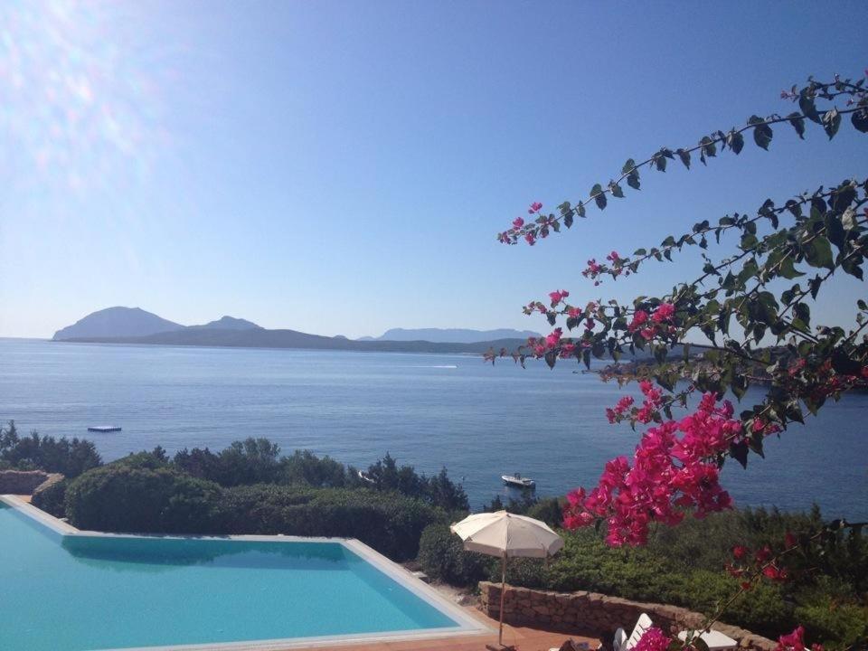 Appartamento A Porto Rotondo - Villaggio Punta Volpe - Iun S5393 Exteriör bild