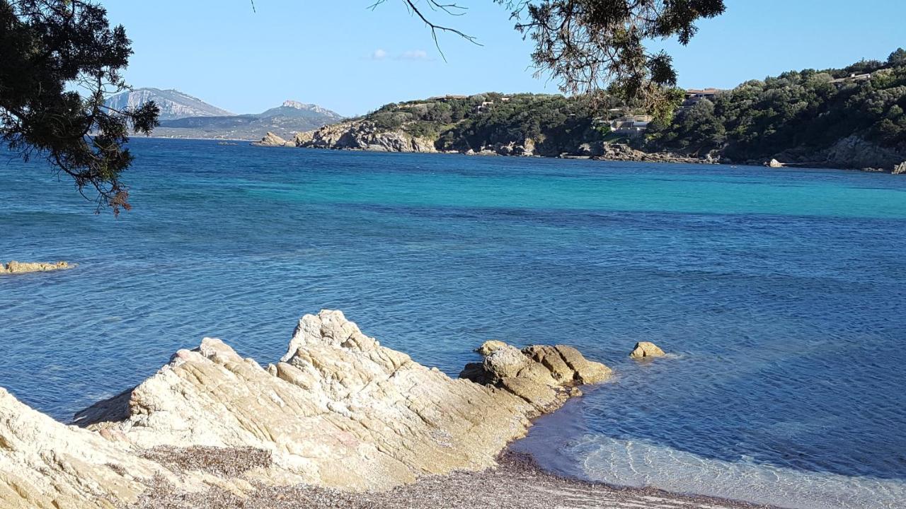 Appartamento A Porto Rotondo - Villaggio Punta Volpe - Iun S5393 Exteriör bild
